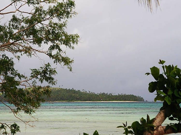 Tarzans Beach Resort2