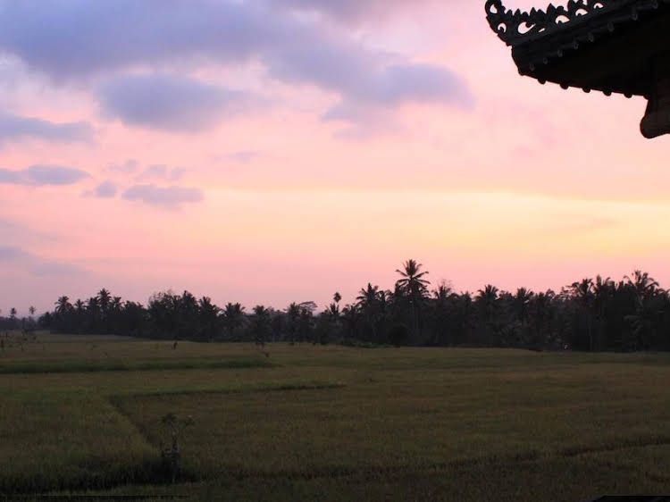 Villa Mangku2