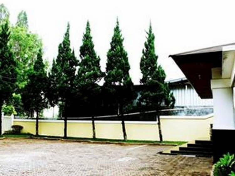 Rumah Pinus Guesthouse & Cafe2