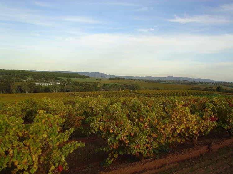 Clare View Accommodation