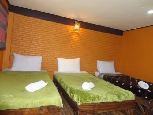 Single Bed in Mixed Dormitory Room