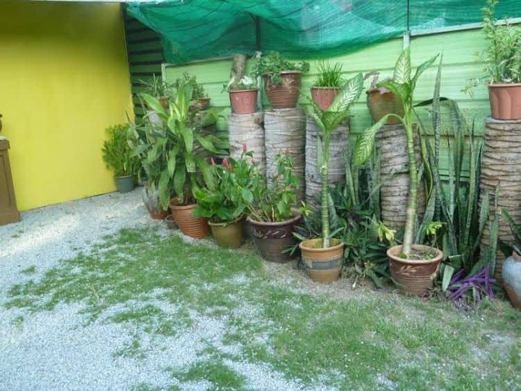 Mentari Cenang Inn Mentari Cenang Inn