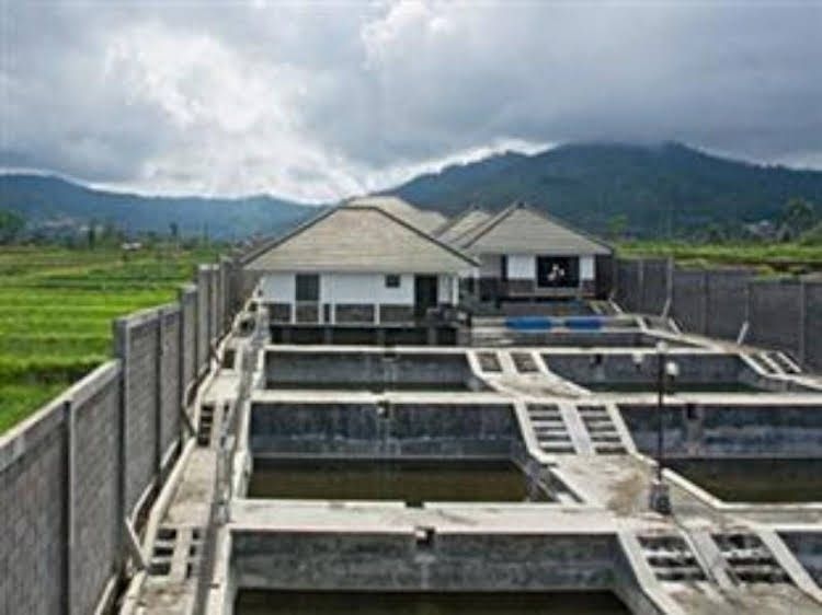 Kay's Fish Farm and Villa1