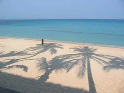 Palm Grove Saud Holiday Complex Hotel Palm Grove Saud Holiday Complex Hotel