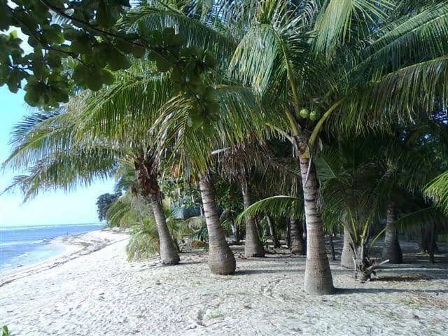 Villa del Nico Beach Resort Villa del Nico Beach Resort