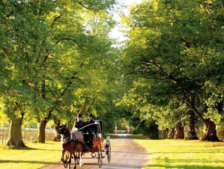 Savill Court Hotel and Spa Savill Court Hotel and Spa