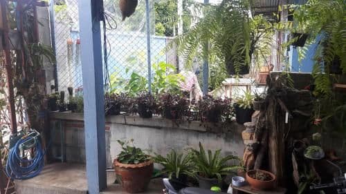 Standard Double Room with Air-conditioning