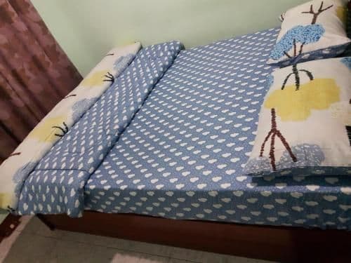 Standard Double Room with Air-conditioning