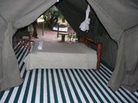 Enchoro Wildlife Camp Masai Mara Enchoro Wildlife Camp Masai Mara