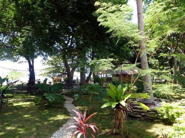 Jungle Beach Resort4