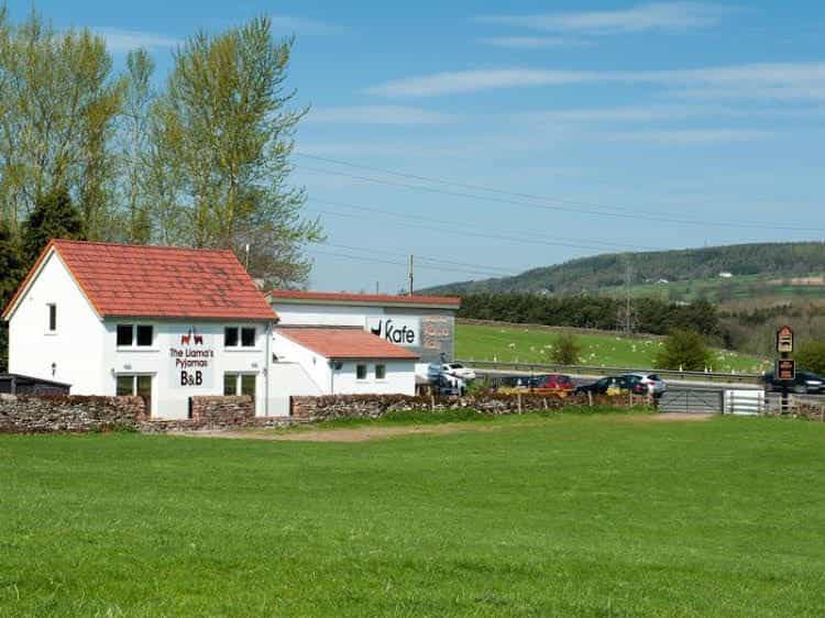 Llamas Pyjamas Bed & Breakfast Llamas Pyjamas Bed & Breakfast