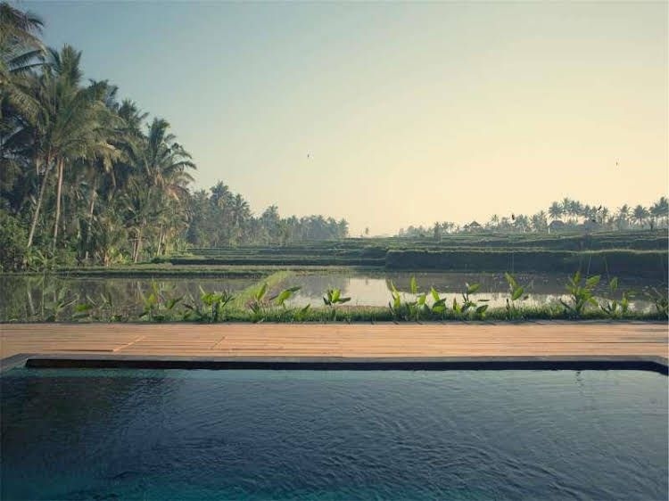 มันยี อูบุด วิลเลจ (Manyi Ubud Village)0