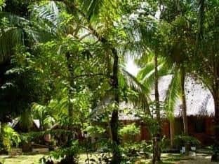 Hot Spot on Cloud 9 Resort Hot Spot on Cloud 9 Resort