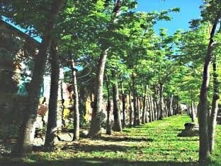 Balanghai Hotel and Convention Center0