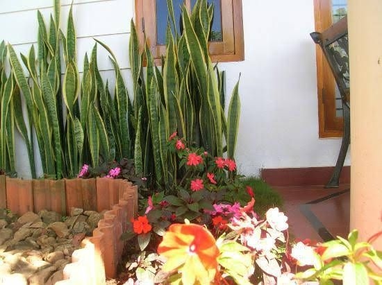 Munnar Dreams Home Stay3