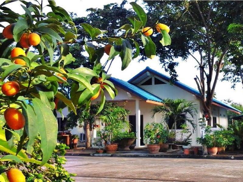 OYO 658 Peamsook Resort OYO 658 Peamsook Resort