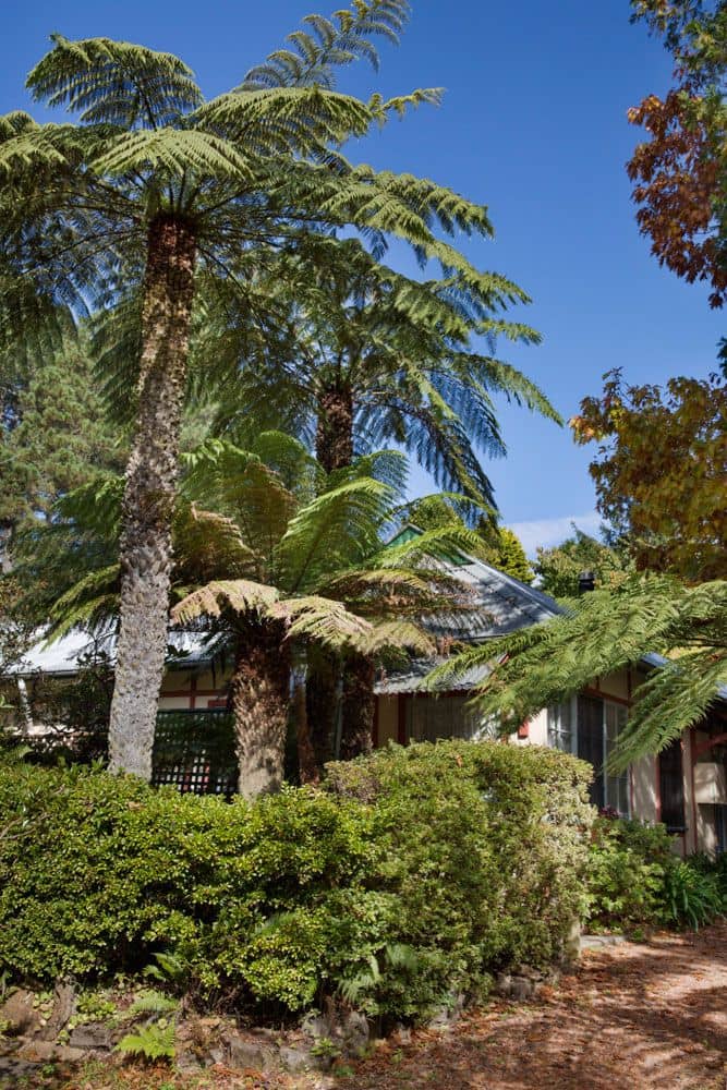 Secrets Hideaway Suites Secrets Hideaway Suites