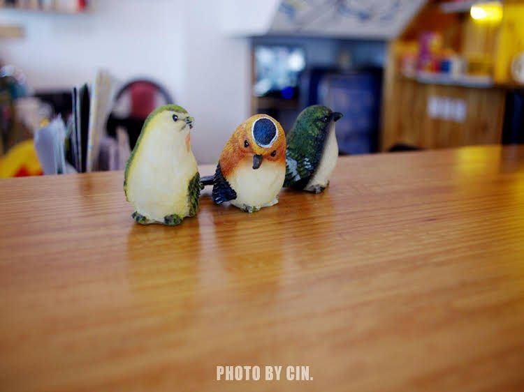 Birds Inn1