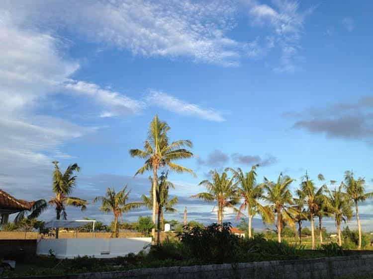 Canggu Stay Canggu Stay