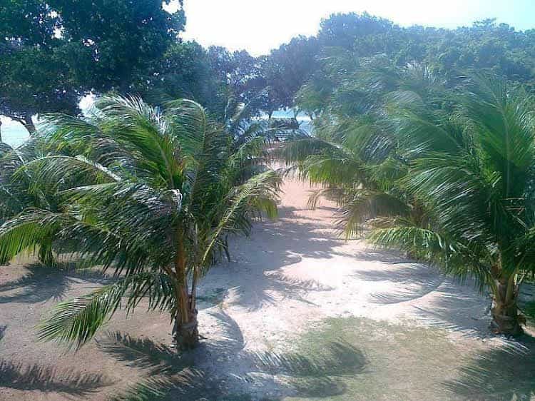 Natsuca Beach Resort Natsuca Beach Resort