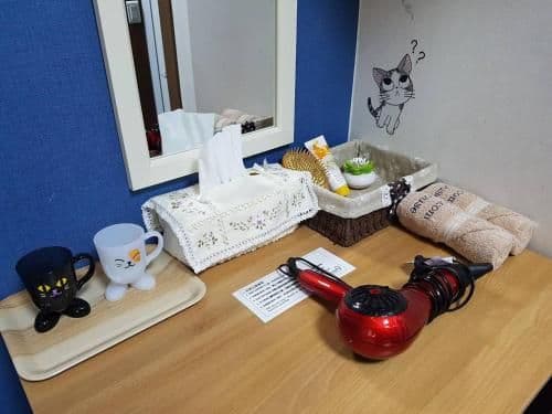 Twin Room with Shared Bathroom