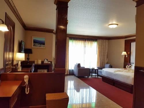 Deluxe Double or Twin Room