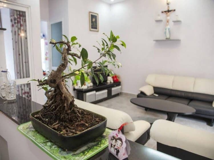 Dalat Jungle View Homestay Dalat Jungle View Homestay