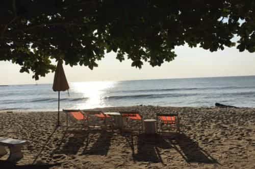 Bankrut Resort Bankrut Resort