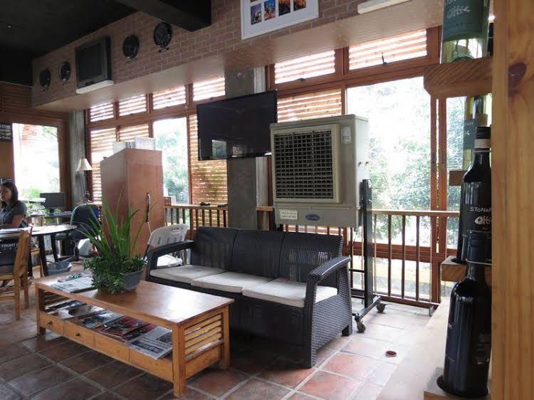 Cafe Lupe Bed and Breakfast0