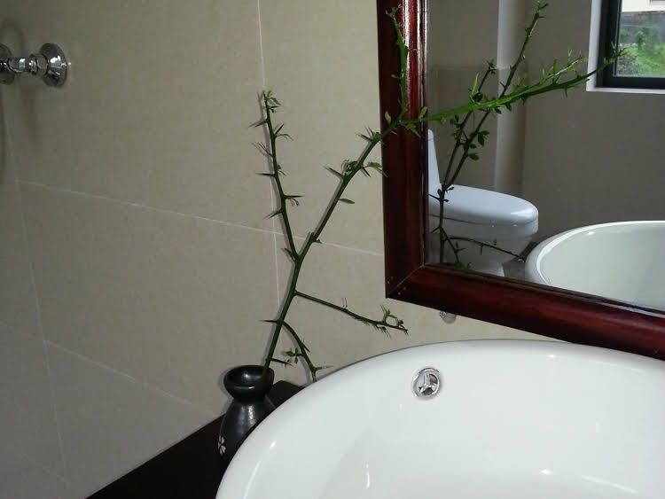 Yangshuo Zen Valley Hotel1