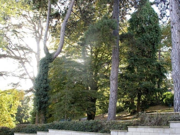Hedgemead Court2