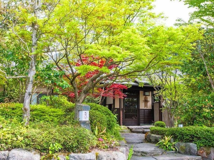 โอยะโดะ ซากุระเต (Oyado Sakuratei)0