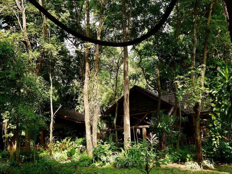 ทายัน รีสอร์ท กาญจนบุรี (Tayan Resort Kanchanaburi)4