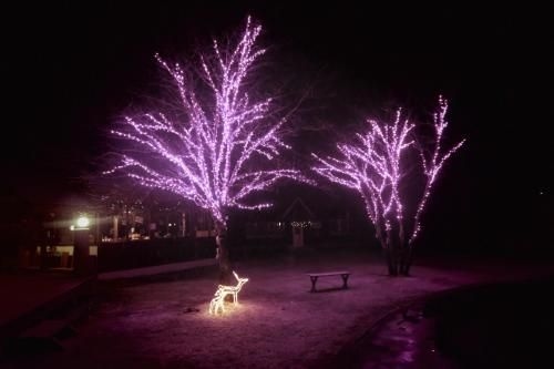 โฮเต็ล เรอโพเซ ฮะคุบะ (Hotel Reposer Hakuba)4
