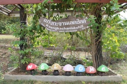 แก่งกะจาน เลคฮิลล์ รีสอร์ท แก่งกะจาน เลคฮิลล์ รีสอร์ท