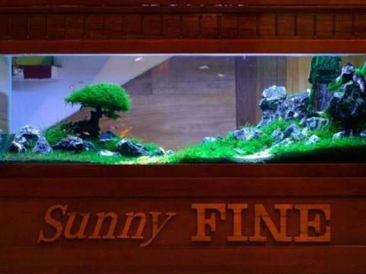 Sunny Fine Guesthouse Sunny Fine Guesthouse