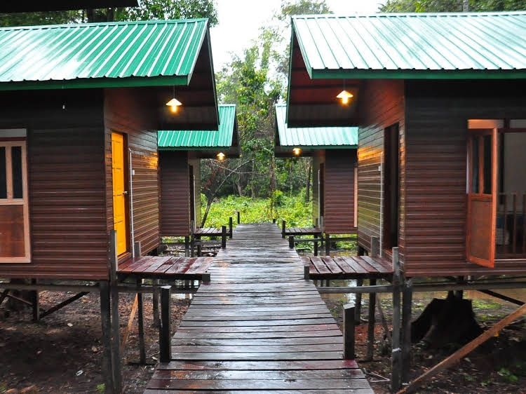 Kinabatangan Sunshine Lodge1