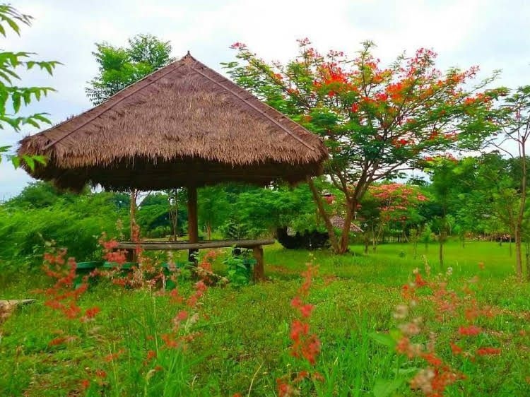 ไพลิน เฮ้าส์ (Pailin House)3