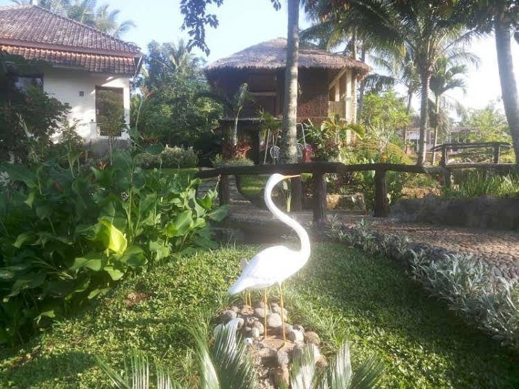 อีเจียน คลิฟ รีสอร์ต (Ijen Cliff Resort)0
