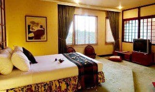 โรงแรมรีเจนท์ส พาร์ค โรงแรมรีเจนท์ส พาร์ค