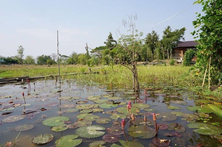 Sukhothai City Resort4