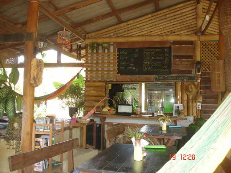 Jungle Zone Jungle Zone