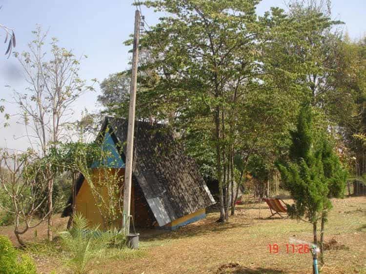 Jungle Zone Jungle Zone