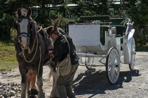 Otira Stagecoach Hotel4