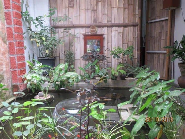 Rumah Eyang Guest House Rumah Eyang Guest House
