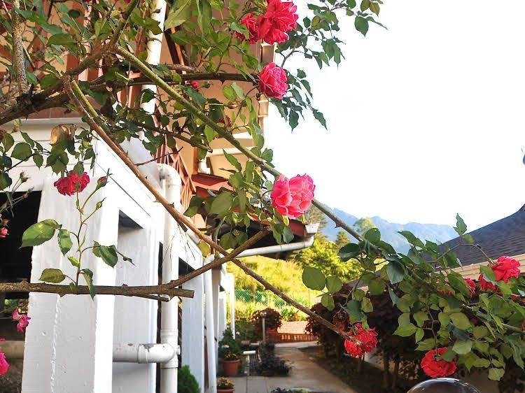 Nabalu Kundasang Lodge0