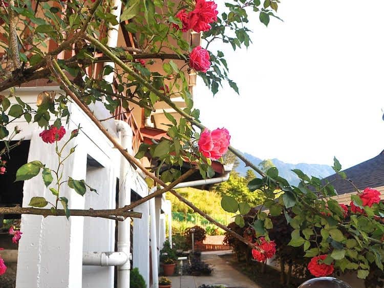Nabalu Kundasang Lodge Nabalu Kundasang Lodge