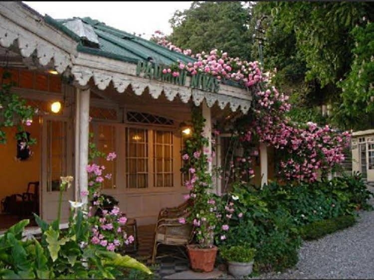 Hotel Padmini Niwas0