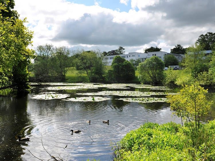 Willow Court University of Stirling Hostel0