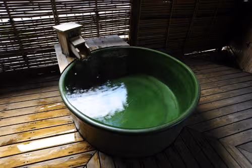 Japanese-Style Standard Room with Open-Air Bath